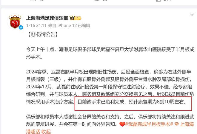 申花海港傷病球員盤點，一月至三月豪華陣容集結(jié)