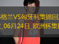 06月24日歐洲杯小組賽A組第3輪蘇格蘭vs匈牙利精彩片段