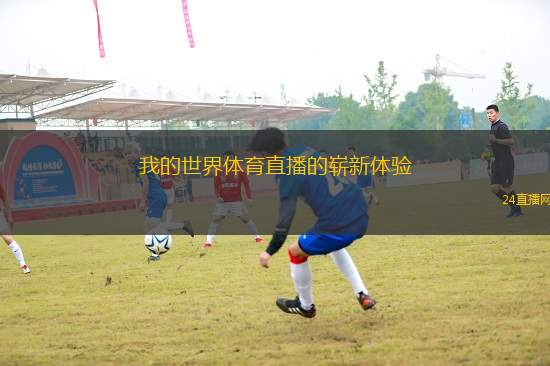我的世界體育直播的嶄新體驗(yàn)