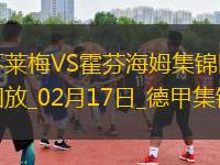 德甲-奧爾班破門克拉馬里奇兩助攻霍芬海姆客場3-1不萊梅