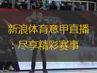 新浪體育意甲直播：盡享精彩賽事