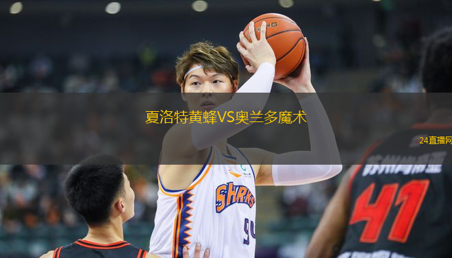 夏洛特黃蜂VS奧蘭多魔術(shù)