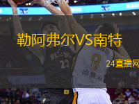 勒阿弗爾VS南特