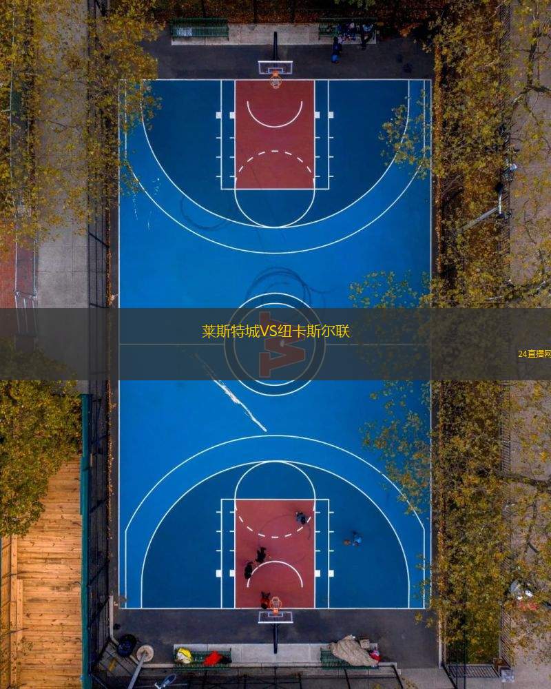 萊斯特城VS紐卡斯?fàn)柭?lián)