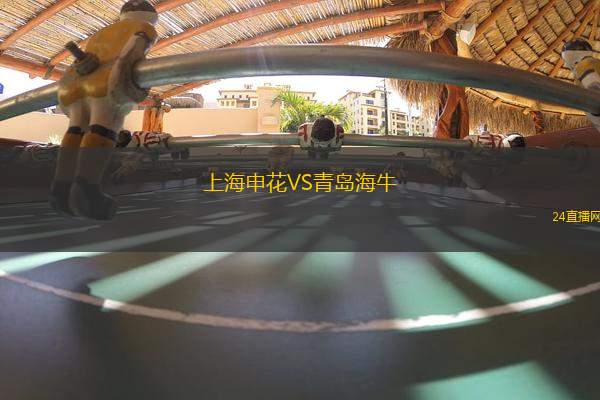 上海申花VS青島海牛
