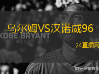 烏爾姆VS漢諾威96