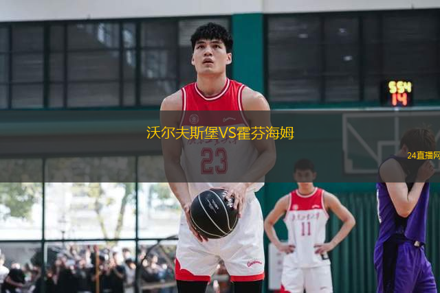 沃爾夫斯堡VS霍芬海姆