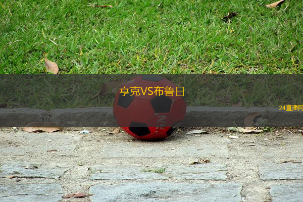 亨克VS布魯日
